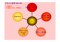 아웃렛 현황 및 문제점 방안 제시-12