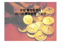 유럽 통화동맹과 아시아 통화동맹 가능성-1