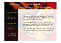 유럽 통화동맹과 아시아 통화동맹 가능성-7