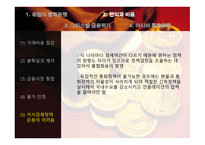 유럽 통화동맹과 아시아 통화동맹 가능성-9