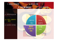 유럽 통화동맹과 아시아 통화동맹 가능성-11