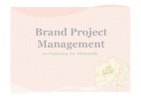 Brand Project Management RePositioning for Mamonde-1