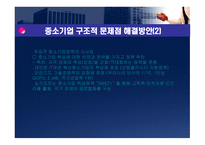 중소기업의 문제점-13
