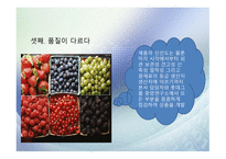 세븐일레븐 물류시스템 물류관리론-7