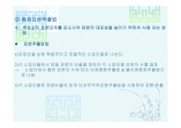 표본추출방법 레포트-13