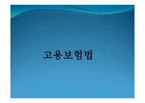 고용보험 법고용 보험제도의 기능 및 기본원칙-1