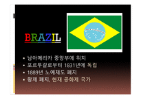 브라질 경제 레포트-2
