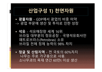 브라질 경제 레포트-4