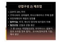 브라질 경제 레포트-5