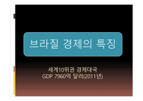브라질 경제 레포트-8