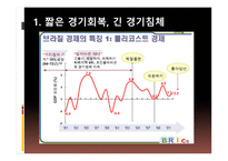 브라질 경제 레포트-9