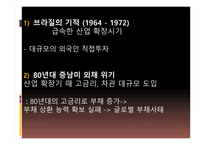 브라질 경제 레포트-10