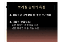 브라질 경제 레포트-14