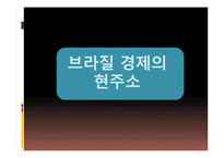 브라질 경제 레포트-15
