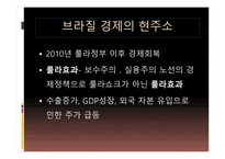 브라질 경제 레포트-16