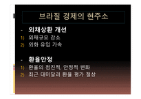 브라질 경제 레포트-17
