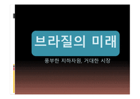 브라질 경제 레포트-20