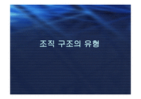 조직구조의 유형-1