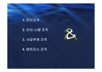 조직구조의 유형-2