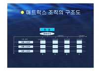 조직구조의 유형-13