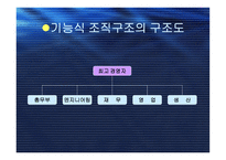 조직구조의 유형-16