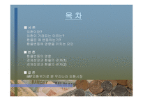 외환 역할과 경제에 미치는 영향-2