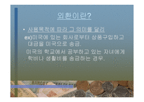 외환 역할과 경제에 미치는 영향-5