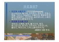 외환 역할과 경제에 미치는 영향-10