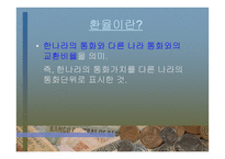 외환 역할과 경제에 미치는 영향-13