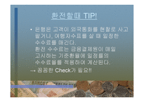 외환 역할과 경제에 미치는 영향-17