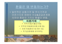 외환 역할과 경제에 미치는 영향-18