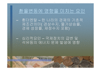 외환 역할과 경제에 미치는 영향-19