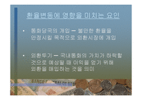 외환 역할과 경제에 미치는 영향-20