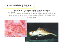 세계화와 환경 레포트-9
