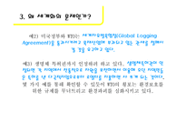 세계화와 환경 레포트-10