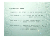 경영정보시스템 개론-3