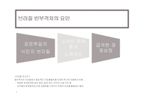 브라질 빈부격차-6