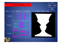 소비자의 지각과 기억-9