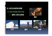 스포츠 소비자 행동-3