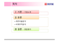 영진약품 재무제표 분석-2