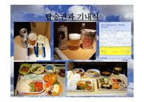 전 일본 공수 ANA-All Nippon Airways 분석 보고서-15