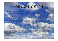 전 일본 공수 ANA-All Nippon Airways 분석 보고서-19