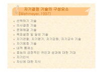 자기 결정의 정의-7