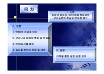WTO체제하에서의 우리나라의 농업의 현실과 방향-2