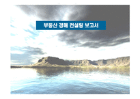 부동산 경매컨설팅 보고서-1