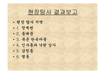 길거리 관광지 쓰레기 처리-6
