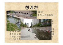 길거리 관광지 쓰레기 처리-7