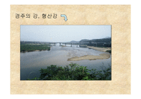 길거리 관광지 쓰레기 처리-16
