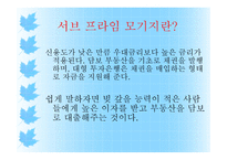 서브프라임 모기지의 현황과 대응책-2