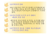 서브프라임 모기지의 현황과 대응책-9